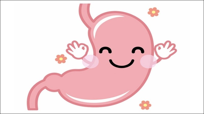 Chuối tiêu giúp các vết loét dạ dày được bảo vệ tốt hơn vì có chứa chất ức chế protease