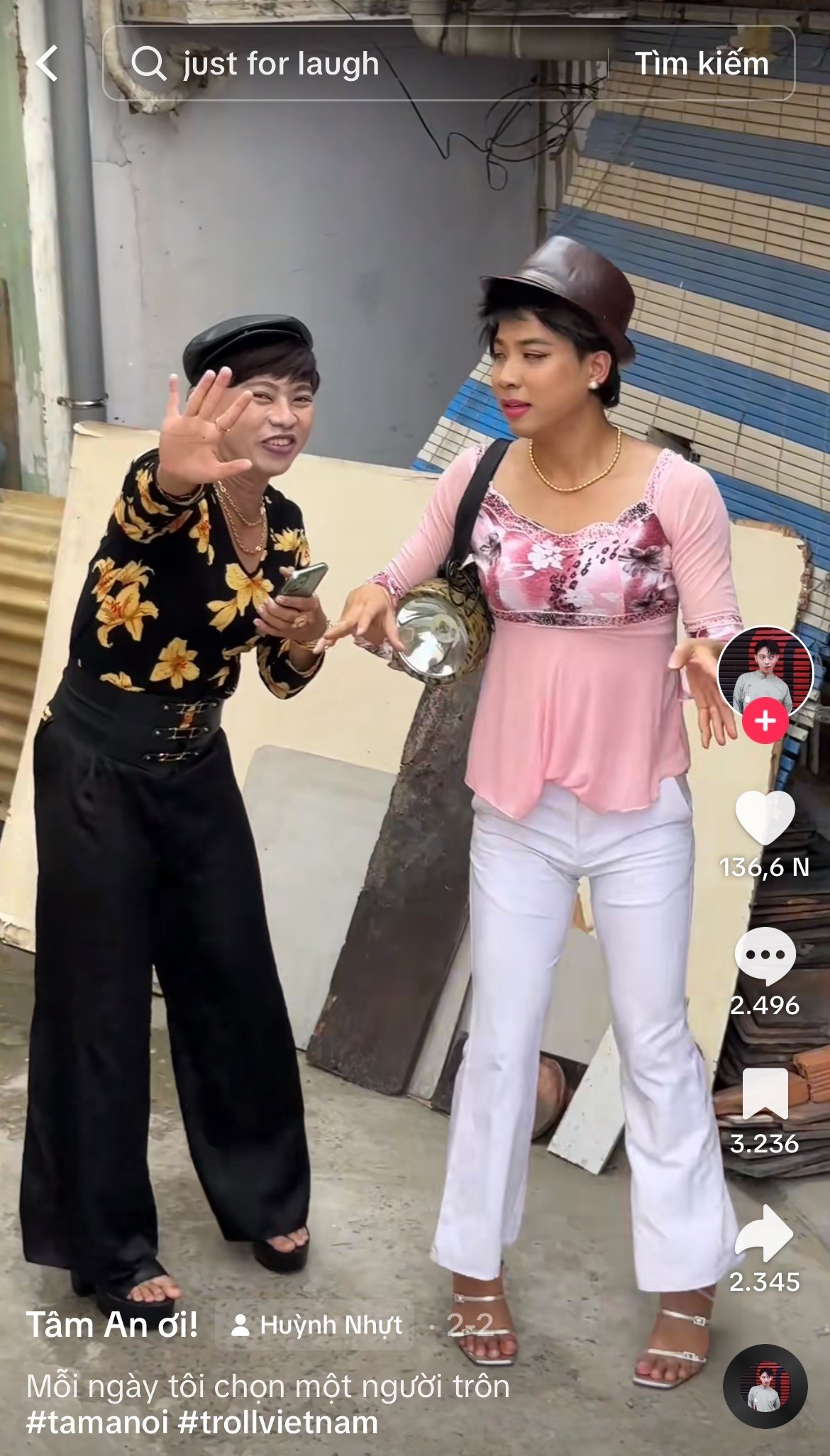 Trend Troll Việt Nam của Tiktoker Việt Nam (Ảnh: Tiktok)