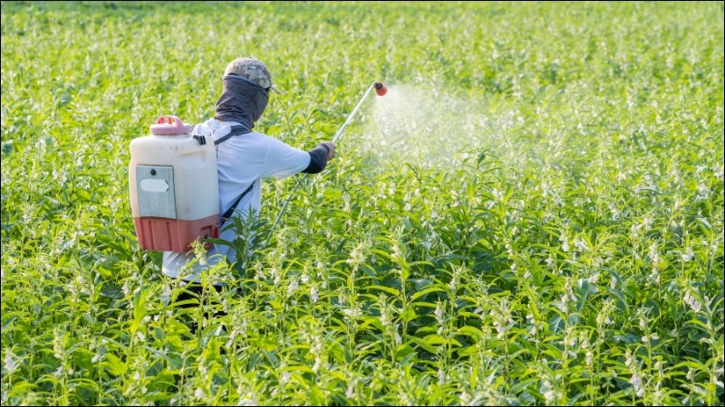 Hóa chất bảo vệ thực vật giúp phòng ngừa, diệt trừ vật trung gian truyền bệnh