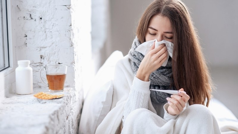Triệu chứng sốt và cảm cúm sẽ thuyên giảm khi dùng ly nước có chứa dịch chiết lá sung
