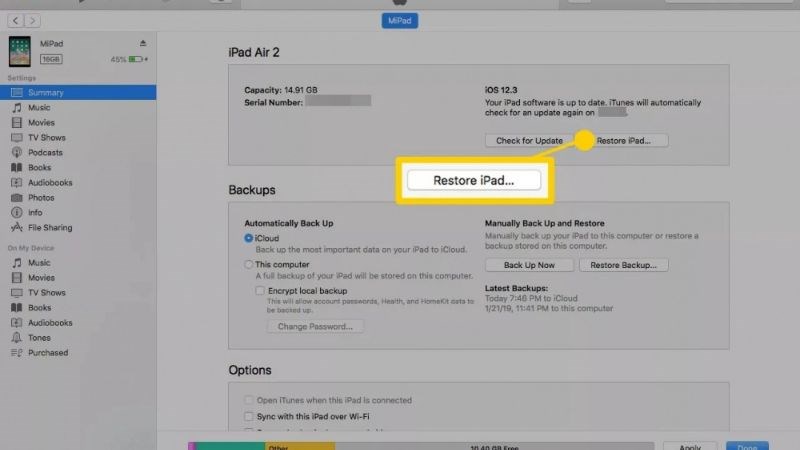 Chọn vào mục Summary và chọn Restore iPad để bắt đầu quá trình