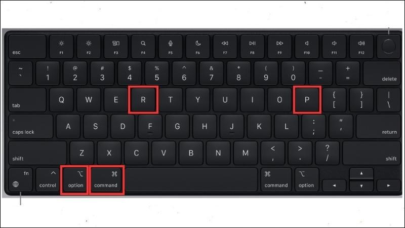 Nhấn và giữ tổ hợp bốn phím Option, Command, P và R cùng một lúc