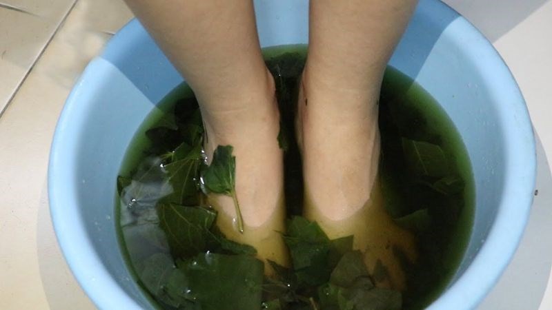 Ngâm chân với lá lốt giúp giảm các triệu chứng đau nhức xương khớp