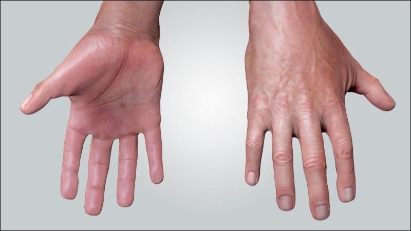 Benzyl acetat, beta-caryophylen trong lá lốt có tính kháng viêm, trừ phong thấp