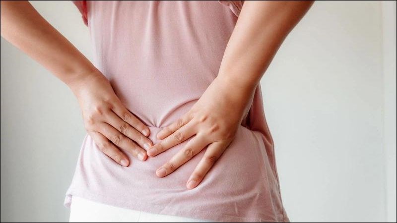 Lá lốt giúp trị đau lưng, sưng khớp gối nhờ chứa tinh dầu