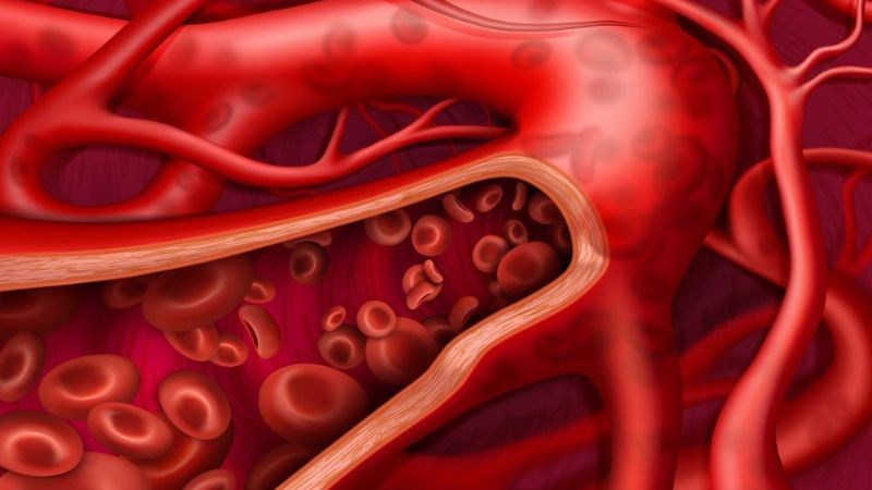 Lá lốt có thể giúp tăng cường tuần hoàn máu đến vùng xương khớp