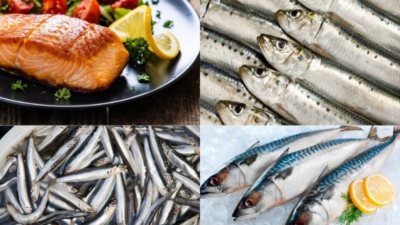  Cá béo giàu dinh dưỡng, có lợi cho niêm mạc tử cung mỏng