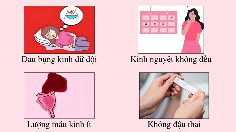 4. Ảnh hưởng của niêm mạc tử cung không đều đến khả năng thụ thai