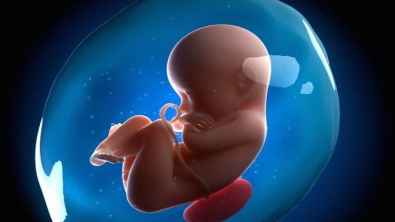 Sự phát triển bất thường của thai nhi có thể dẫn đến núm vú bị thụt