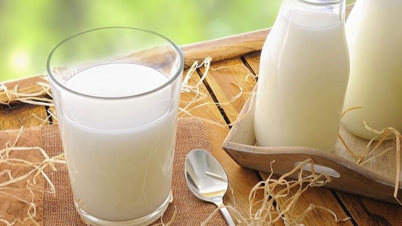 Sữa ít béo giúp hạn chế nhiễm trùng vết mổ