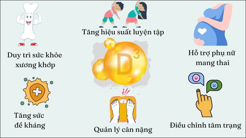 Tác dụng của vitamin D3 đối với sức khỏe