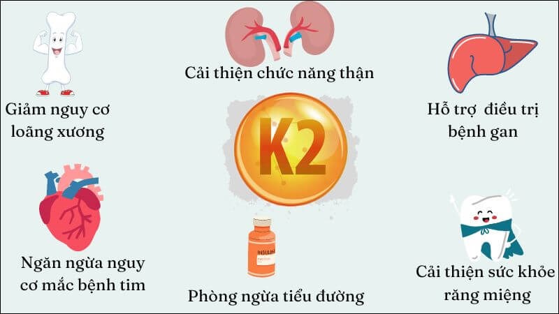 Vitamin K2 mang lại nhiều lợi ích đối với sức khỏe