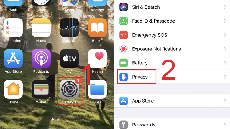 Bạn vào Settings, chọn Privacy