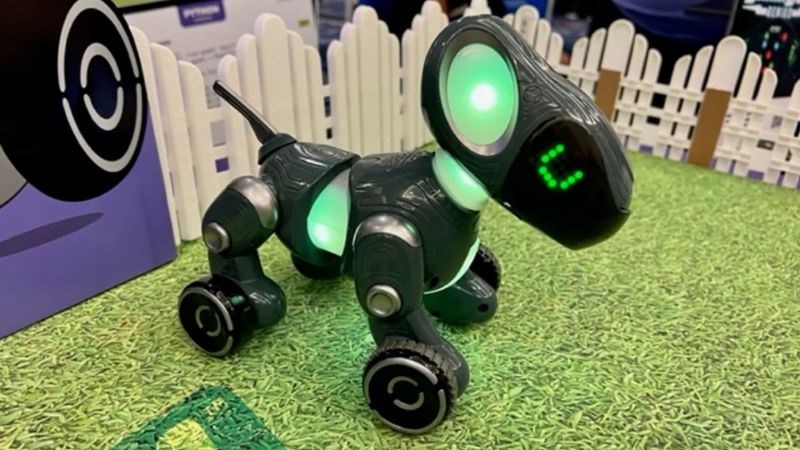 Chú chó robot đặc bi&ecirc;̣t với mục đích giáo dục