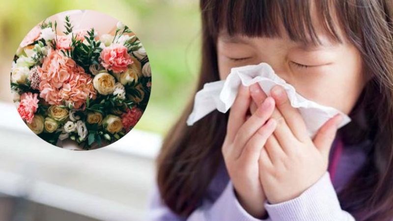 Dị ứng phấn hoa là nguyên nhân gây ra hắt xì hơi