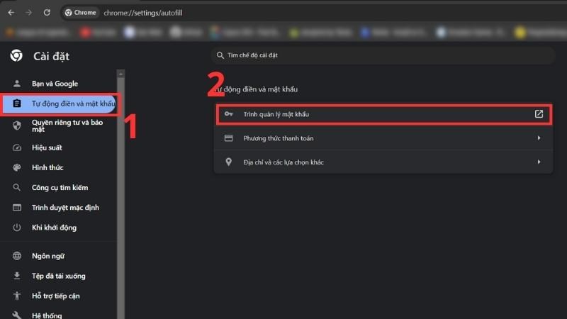 Chọn Trình quản lý mật khẩu để xem các trang web bạn đã lưu mật khẩu