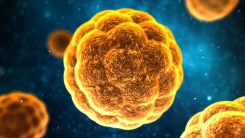 Viêm gan A là một bệnh truyền nhiễm nguy hiểm gây ra bởi Hepatitis A virus (HAV) Viêm gan A là một bệnh truyền nhiễm nguy hiểm gây ra bởi Hepatitis A virus (HAV)