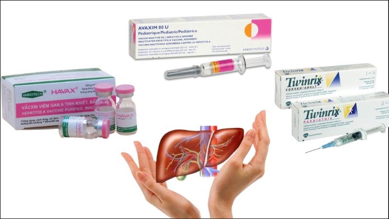 Các loại vacxin tiêm phòng viêm gan A Các loại vacxin tiêm phòng viêm gan A