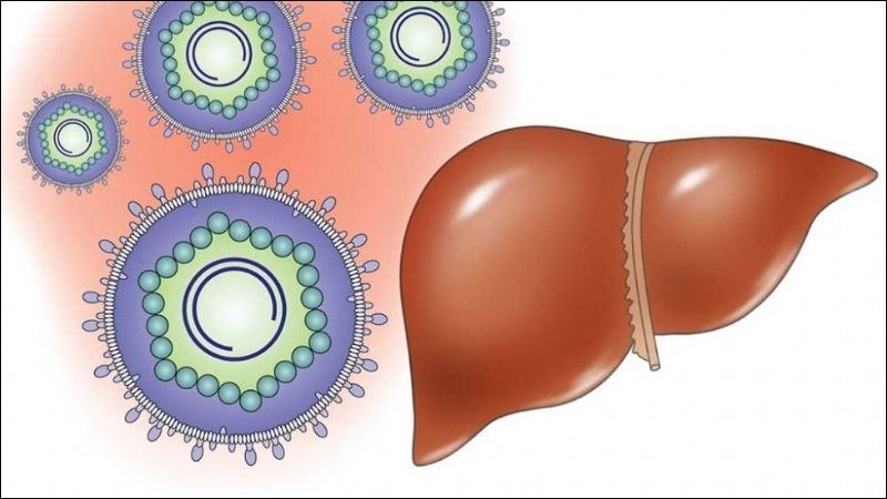 Viêm gan B là bệnh nhiễm trùng tại gan gây ra bởi virus viêm gan B (HBV)