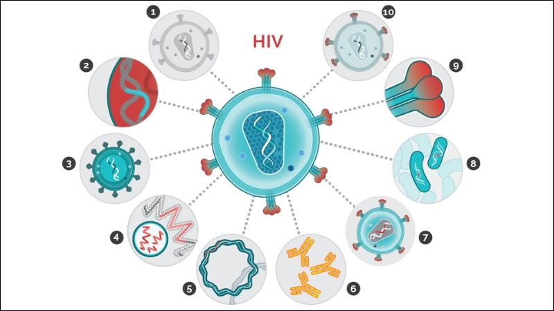 Người bị HIV cần tiêm ngừa các loại vaccine để kéo dài tuổi thọ