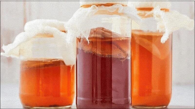 Kombucha giàu protein tốt cho sức khỏe chị em phụ nữ