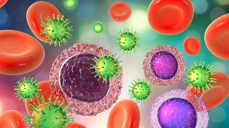 Hệ miễn dịch sẽ tiến hành tiêu diệt hoàn toàn virus quai bị