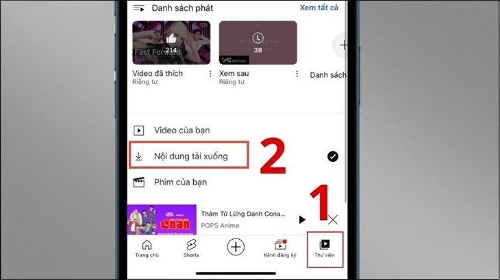 Tải trực tiếp video YouTube về điện thoại iPhone