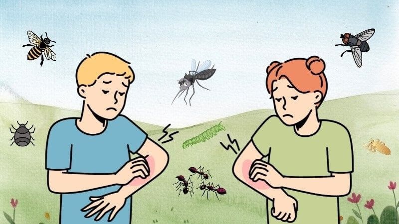 Sử dụng DEET, Picaridin để giúp cơ thể che giấu mùi hương khỏi côn trùng cắn