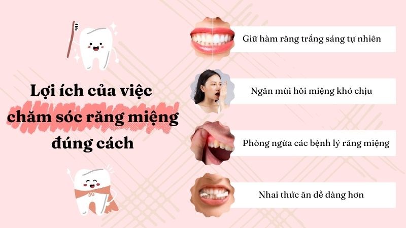Những lợi ích mang lại khi chăm sóc răng miệng đúng cách Những lợi ích mang lại khi chăm sóc răng miệng đúng cách