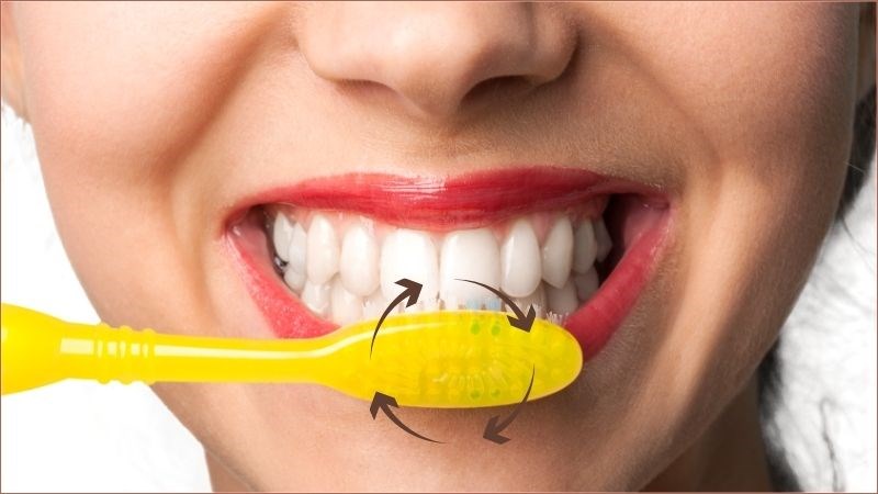 Di chuyển bàn chải đánh răng theo các chuyển động tròn nhỏ giúp loại bỏ mảng bám hiệu quả Di chuyển bàn chải đánh răng theo các chuyển động tròn nhỏ giúp loại bỏ mảng bám hiệu quả