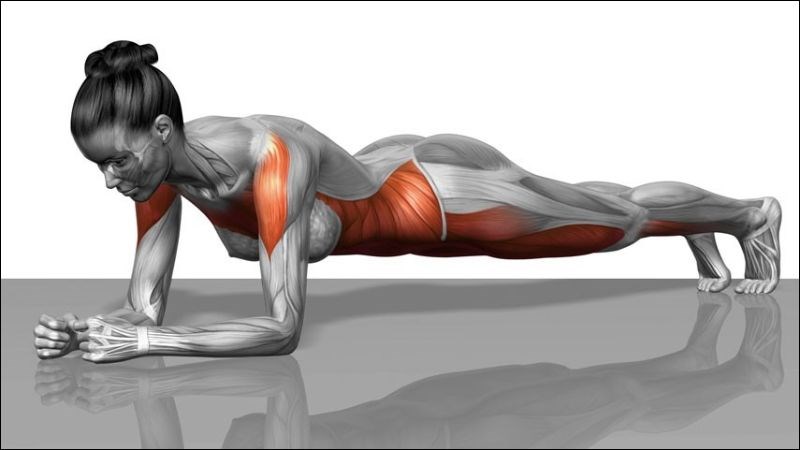 Bạn chỉ nên giữ tư thế plank tối đa trong 2 phút