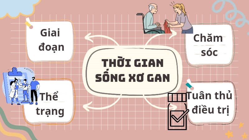 Thời gian sống của bệnh nhân xơ gan phụ thuộc nhiều yếu tố