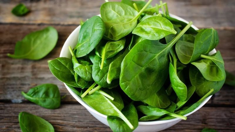 Rau bina rất cần thiết để giữ cho tĩnh mạch khỏe mạnh