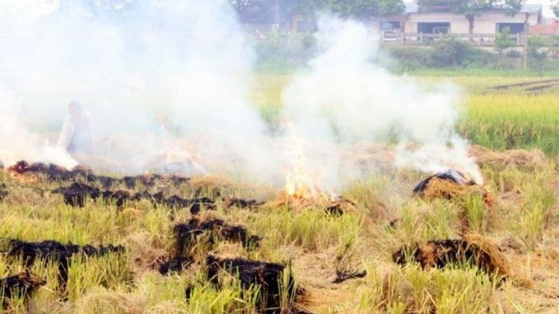 Không sử dụng than tổ ong, củi và đốt rơm rạ để giảm lượng khói và bụi mịn gây ô nhiễm không khí Không sử dụng than tổ ong, củi và đốt rơm rạ để giảm lượng khói và bụi mịn gây ô nhiễm không khí