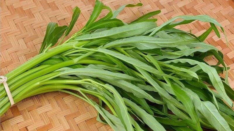 Rau muống là nguồn cung cấp sắt hiệu quả