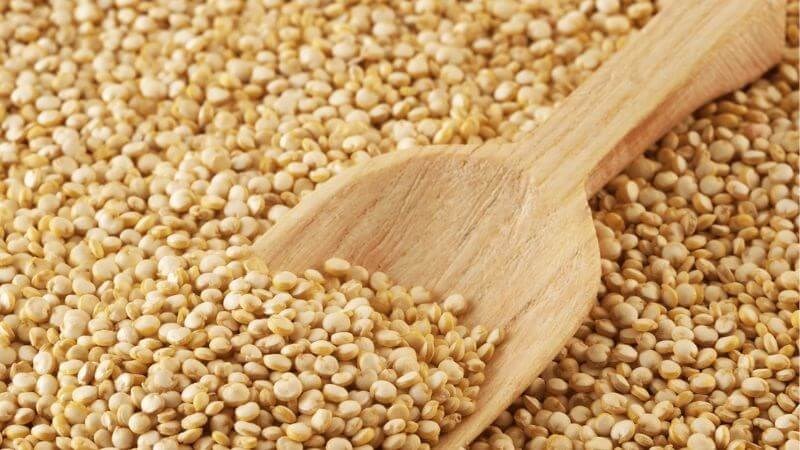 Diêm mạch có thể cung cấp 14% nhu cầu sắt hằng ngày của cơ thể