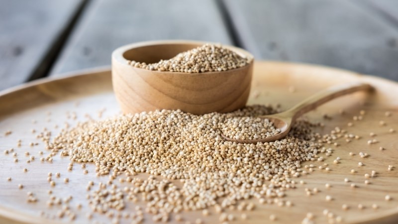 Protein từ hạt diêm mạch có thể cung cấp đến 9 loại axit amin khác nhau cho cơ thể