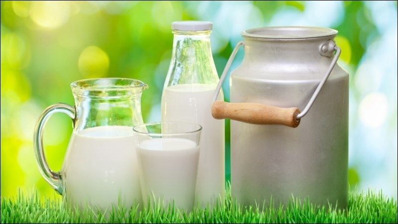 Sữa tươi là thực phẩm phổ biến và chứa nhiều protein