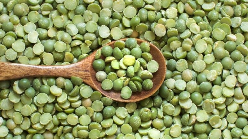Đậu lăng là nguồn cung cấp protein tuyệt vời cho người ăn chay