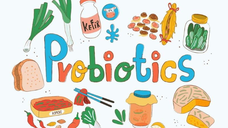 Men vi sinh là những vi sinh vật sống có lợi cho đường ruột Men vi sinh là những vi sinh vật sống có lợi cho đường ruột