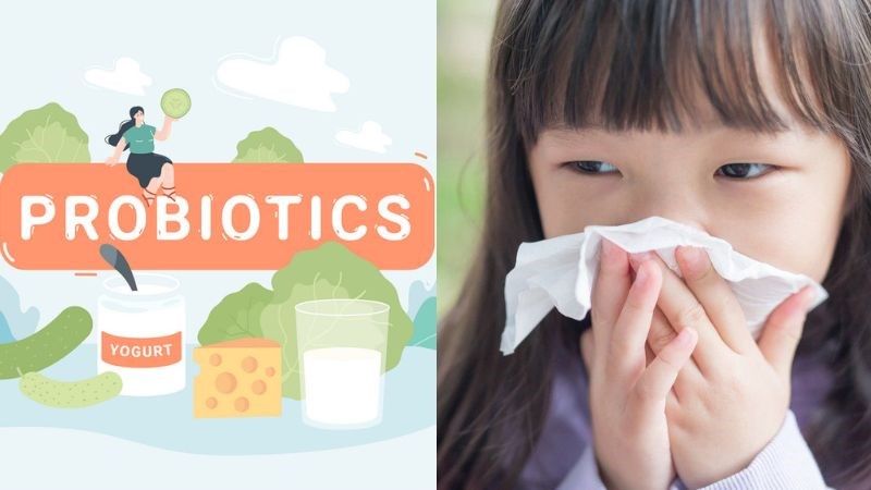 Men vi sinh giúp loại bỏ các yếu tố nguy cơ và phòng bệnh viêm mũi dị ứng Men vi sinh giúp loại bỏ các yếu tố nguy cơ và phòng bệnh viêm mũi dị ứng