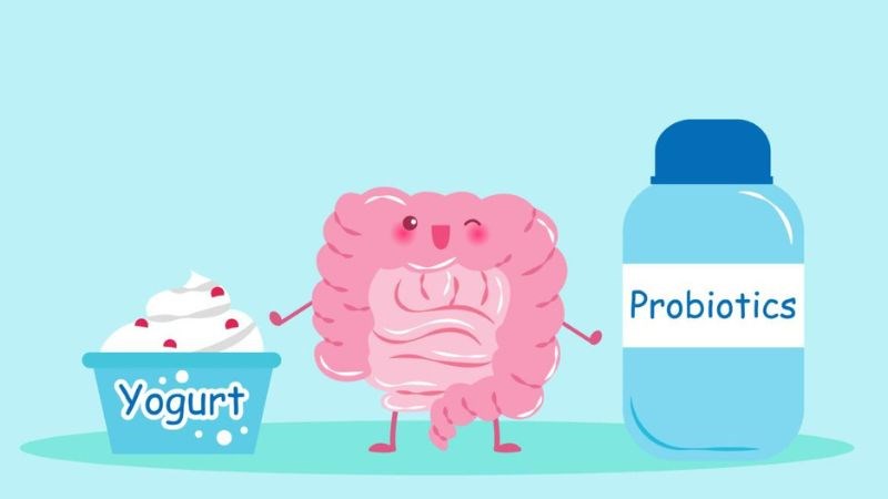 Sử dụng men vi sinh đúng cách để đạt hiệu quả sử dụng và đảm bảo an toàn cho sức khỏe của bạn Sử dụng men vi sinh đúng cách để đạt hiệu quả sử dụng và đảm bảo an toàn cho sức khỏe của bạn