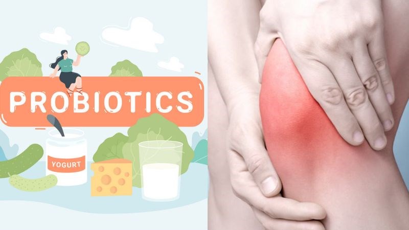 Men vi sinh giúp giảm tình trạng viêm Men vi sinh giúp giảm tình trạng viêm