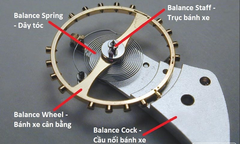 Bộ dao động đồng hồ