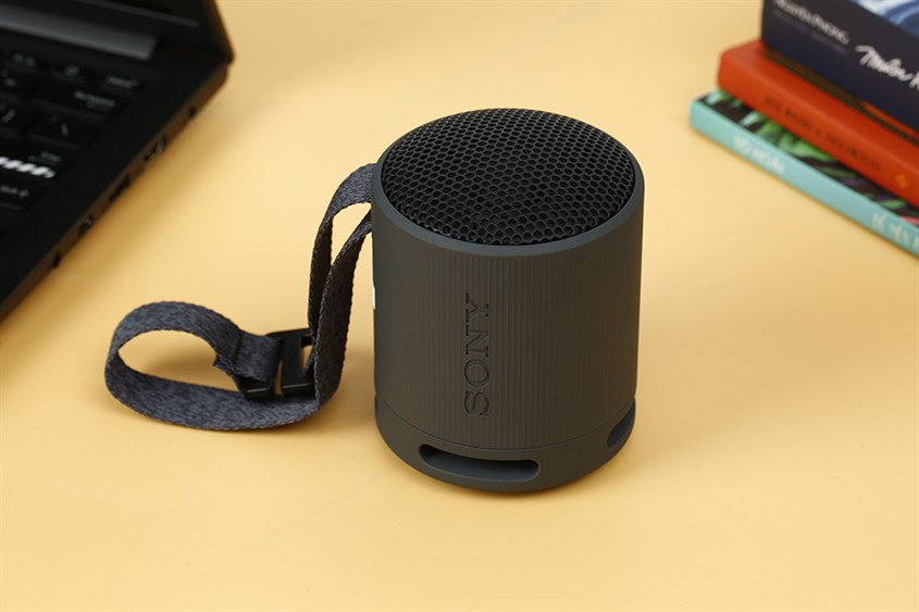Loa Bluetooth Sony SRS-XB100 Loa Bluetooth Sony SRS-XB100