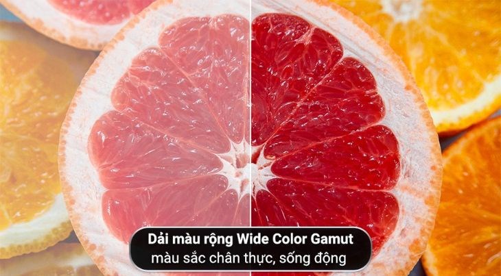 Dải màu rộng Wide Color Gamut của Google Tivi AQUA 4K 55 inch AQT55P750UG mang đến cho người xem hình ảnh với màu sắc chân thực hoàn hảo