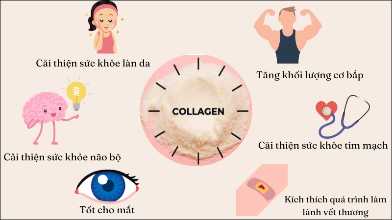 Một số tác dụng của collagen đối với sức khỏe