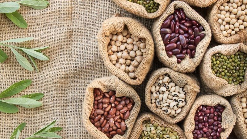Các loại cây họ đậu cung cấp rất nhiều chất xơ, vitamin B và khoáng chất