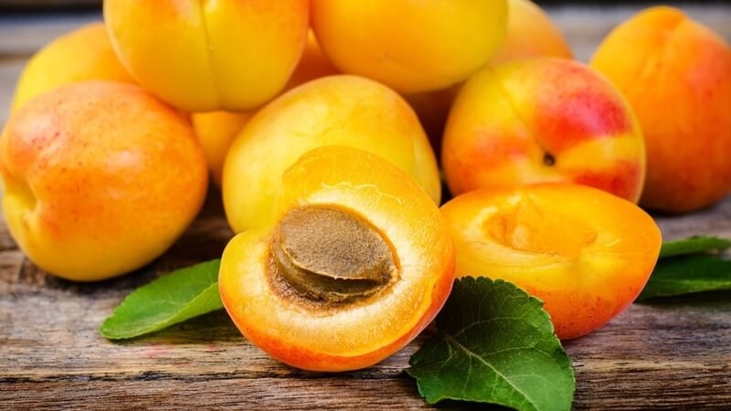 Quả mơ là nguồn cung cấp chất chống oxy hóa tuyệt vời trong đó có beta carotene