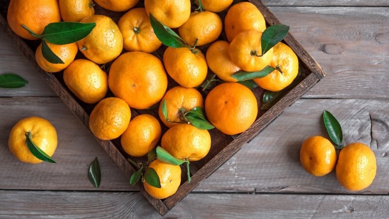 Quả quýt rất giàu vitamin C và beta carotene